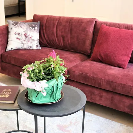 Altstadtjuwel 첼레