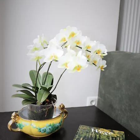 Altstadtjuwel 호텔